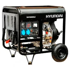 Hyundai DHY 8000LE